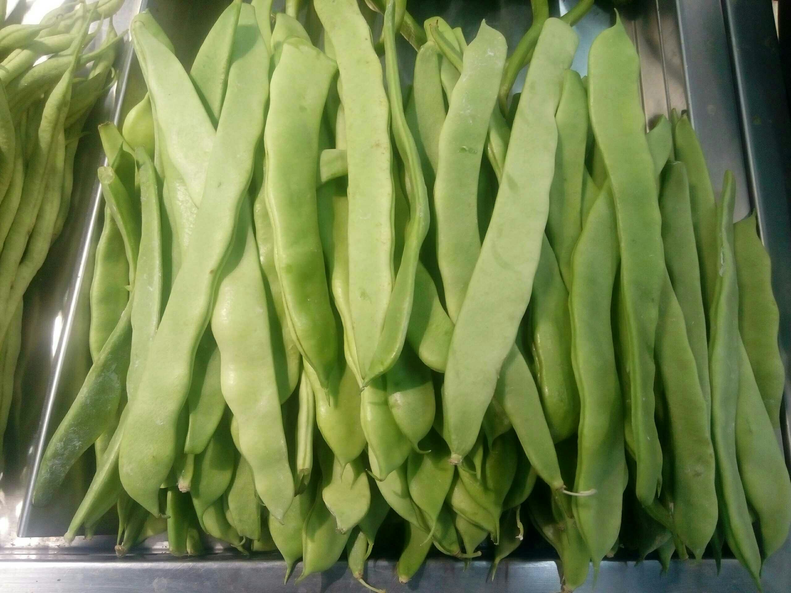【王堰店】新鲜蔬菜扁豆500g