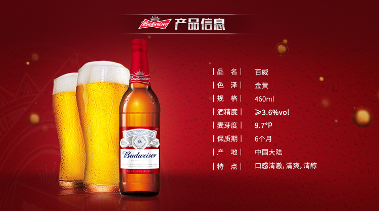 百威啤酒 大瓶装 460ml*12瓶