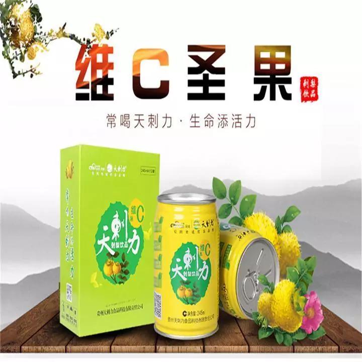 六盘水 盘州【天刺力·刺梨饮料】贵州特产245ml*12罐/单 全国包邮