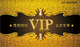 钻石VIP