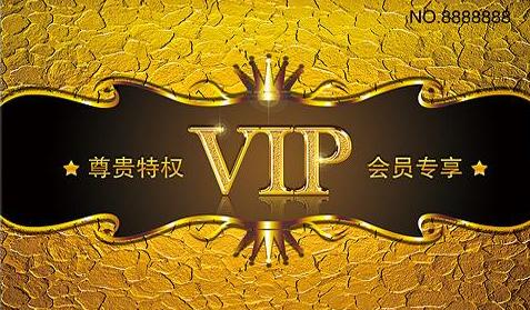 钻石VIP 商品图0