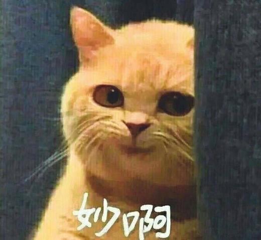 筱馨测试12 商品图0