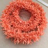 【43446】粉珊瑚毛毛虫项链 商品缩略图0