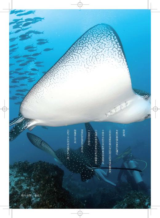 每一个简静的日子都是良辰 商品图3