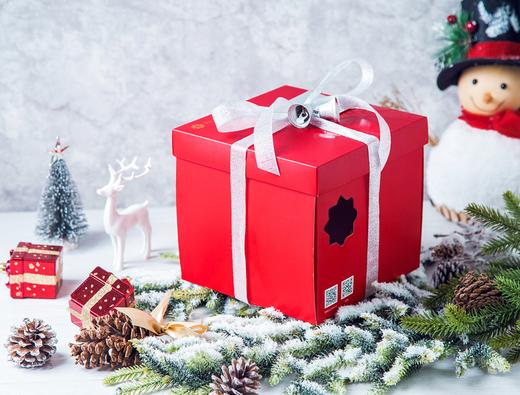 圣诞欢享• Merry Christmas（今日已售罄） 商品图2