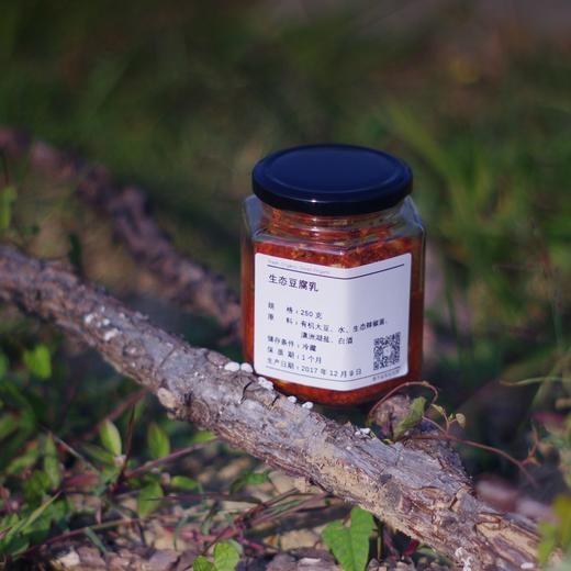 鲜辣豆腐乳 | 绿家自产* Fermented bean curd | Self-production 商品图0