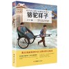 2017新版骆驼祥子 初中语文教材阅读丛书 七八九年级语文教材中小学生课外阅读书籍 商品缩略图0