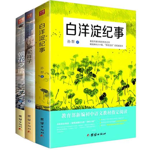 套装3本 2017新编 白洋淀纪事+朝花夕拾+骆驼祥子 初中语文教材阅读中小学生课外读物 商品图0