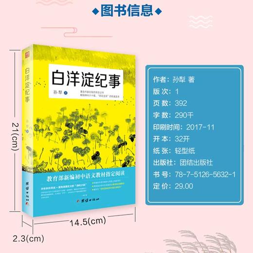2017新版 白洋淀纪事正版包邮初中生语文教材指定阅读 孙犁著 军事小说七八九年级班主任老师推荐中学生初一语文上新课标推荐读物 商品图3