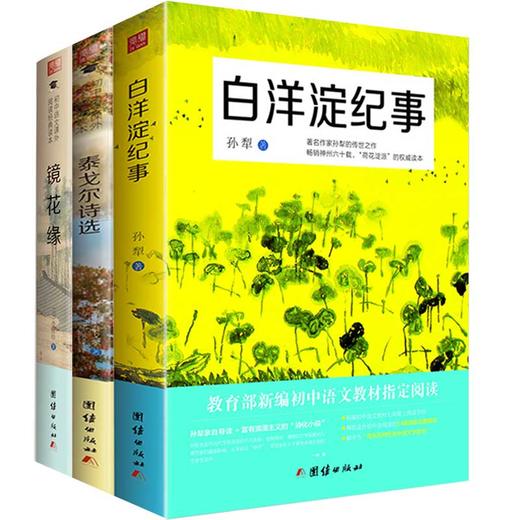 2017新版全套3本白洋淀纪事+镜花缘+泰戈尔诗选 新编初中语文教材指定阅读军事小说孙犁书籍 商品图0