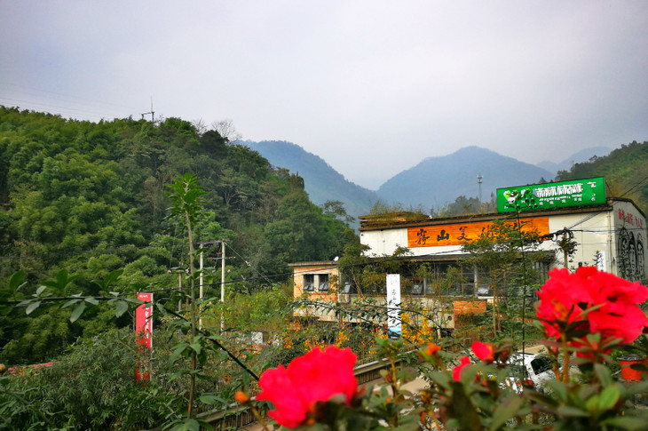 【雾上桃源】逃离雾霾邂逅大邑桃花源"雾山农场",仅1.