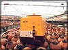 2017年易武古树大红柑普 商品缩略图2