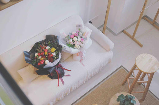 芦苇 商品图2