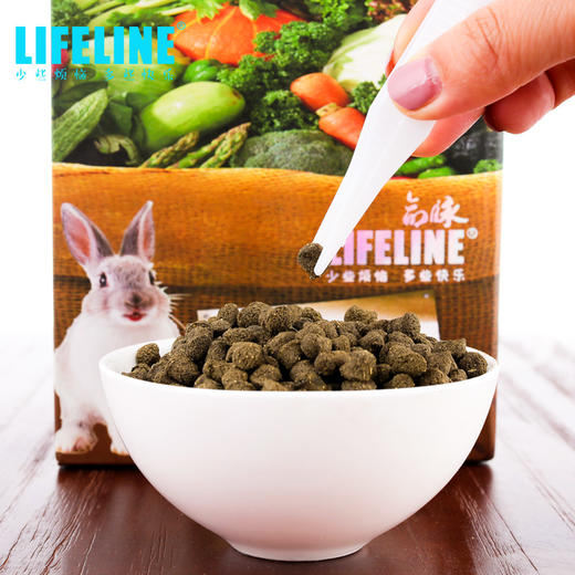 命脉 成年兔粮 苜宿草兔粮宠物兔牧草兔粮300g兔饲料【LIFELINE命脉官方正版】-分销 商品图1