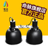 星火LIFELINE爬宠箱【双头小深桶灯罩】uvb反射灯罩uva加热灯罩5.5寸-分销 商品缩略图0