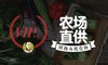 宅配B卡-菜蛋（单卡） 商品缩略图2
