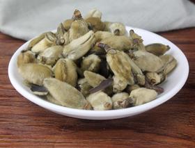 辛夷花木笔花迎春花辛夷花茶花草茶