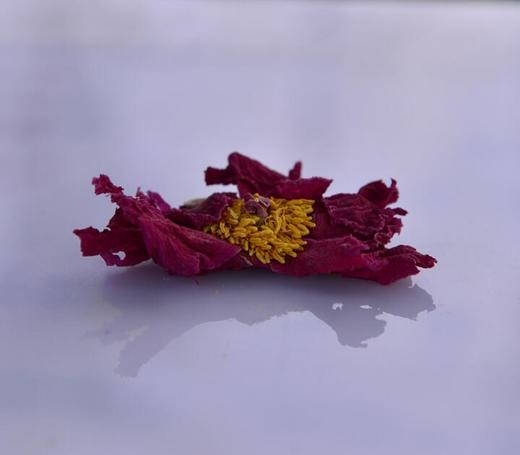 牡丹花茶花草茶牡丹花朵美容花瓣牡丹茶 商品图2