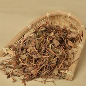 鱼腥草茶野生鱼腥草茶鱼腥草茶叶子