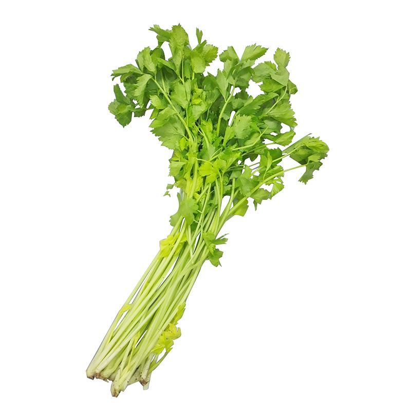 黄心香芹300g 阿林农场