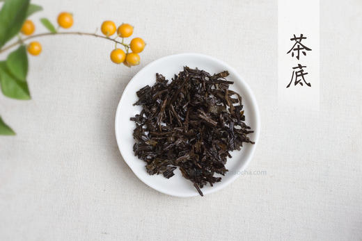 圣源六堡茶 2008年 80106 （2017年包装出厂，500g） 商品图3
