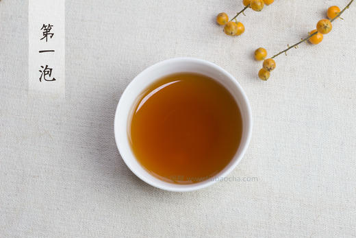 圣源六堡茶 2008年 80106 （2017年包装出厂，500g） 商品图2