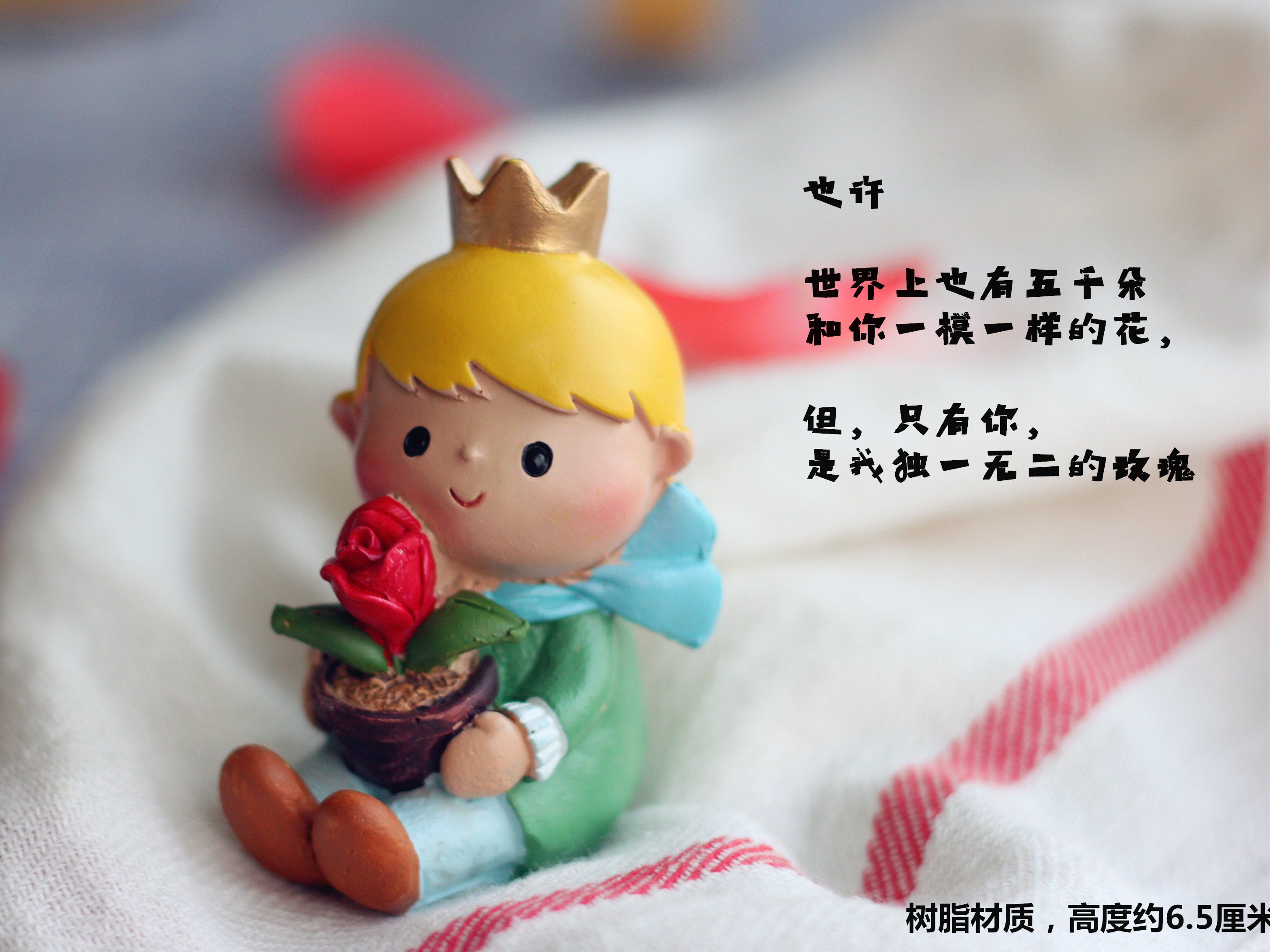 【温暖小王子】