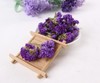 勿忘我茶勿忘我花茶花草茶 商品缩略图2