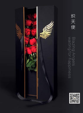 炽天使礼盒（64.5*25*12CM）