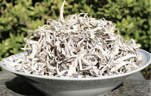 云南雪茶白雪茶花茶花草茶 商品图0