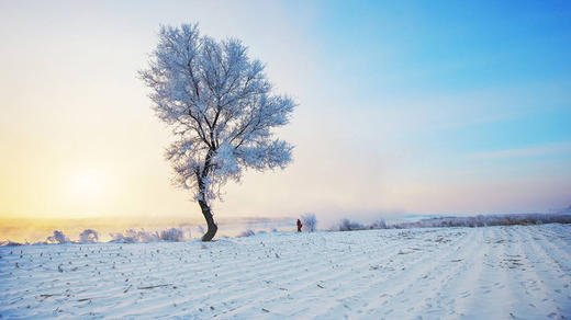【东北冰雪】雪乡+老里克湖徒步—诗画长白山—吉林赏雾凇—滑雪—冰城哈尔滨8日行 商品图3
