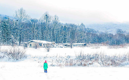 【东北冰雪】雪乡+老里克湖徒步—诗画长白山—吉林赏雾凇—滑雪—冰城哈尔滨8日行 商品图2