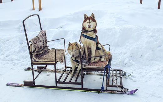 【东北冰雪】雪乡+老里克湖徒步—诗画长白山—吉林赏雾凇—滑雪—冰城哈尔滨8日行 商品图1