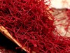 伊朗藏红花伊朗特级藏红花茶一级藏红花花草茶 商品缩略图0