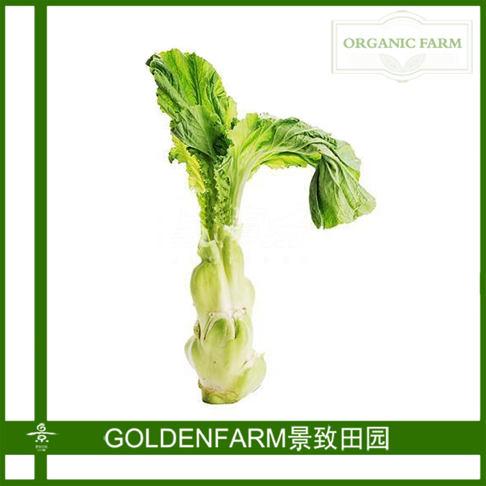 榨菜300g【有机种植】 - 新鲜生活每一天!