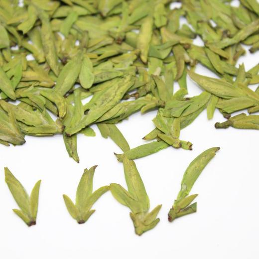 龙井茶龙井茶叶龙井绿茶名优茶500g 商品图2