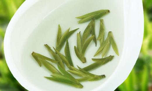 明前龙井浙江绿茶龙井绿茶名优茶茶叶500克 商品图2