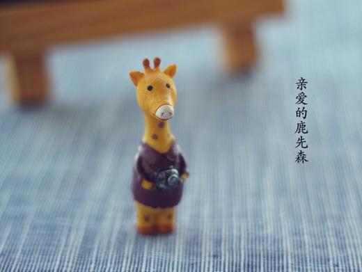【亲爱的鹿先森】 商品图0