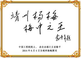 呃呃呃呃