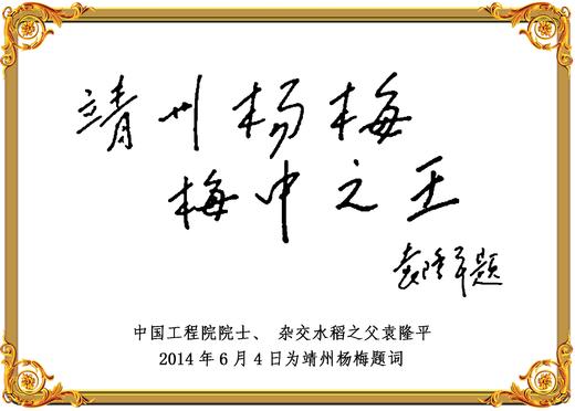 呃呃呃呃 商品图0