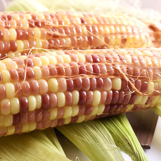 阅农 I 云南西双版纳糯香小玉米4斤装包邮（无公害认证，软糯香甜，晶莹剔透） 商品图1