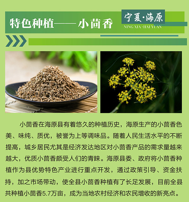 宁夏海原县特产运营中心                         (微信公众号认证)