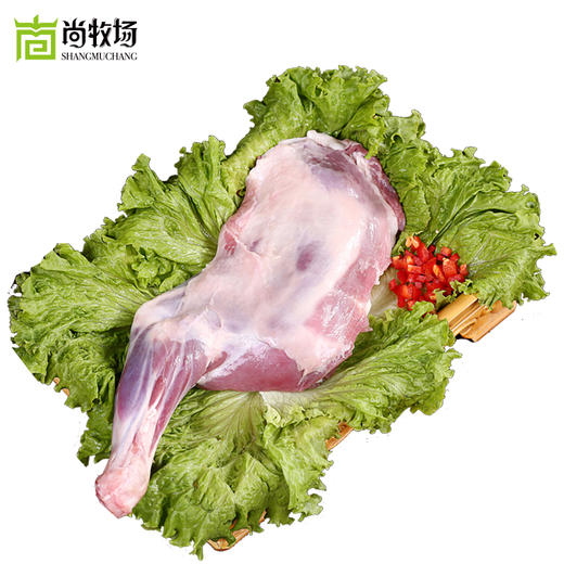 顺丰包邮  销魂前腿 羊腿 内蒙古散养羔羊肉 清真食材1100g 商品图6