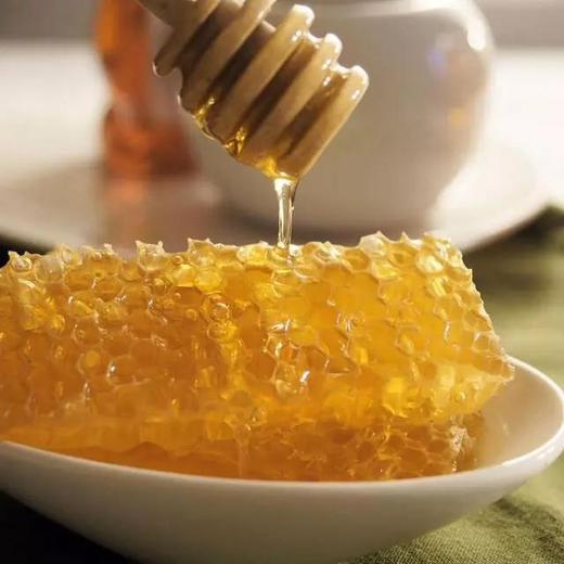 【健康2018】『云雾山·野淬巢蜜礼品装』酿一座山的味道  给最重要的人 商品图3