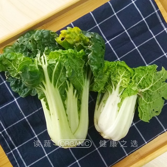 乌菜 黄心乌 (400g)〔organic