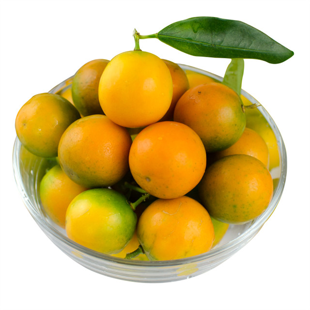 ڰƤˮСժ