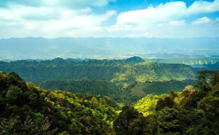 自驾:雅安市名山区蒙顶山风景名胜区 一键导航 优惠政策 a.