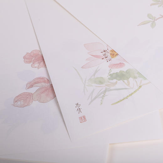 花鸟虫趣图信笺︱细腻隽永爱不释手 商品图2