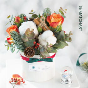 怦然心动 圣诞花礼