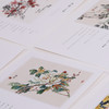 明信片︱写一封情书 送给热爱国画的你 商品缩略图4